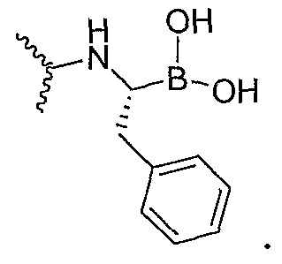 Figure imgf000186_0003