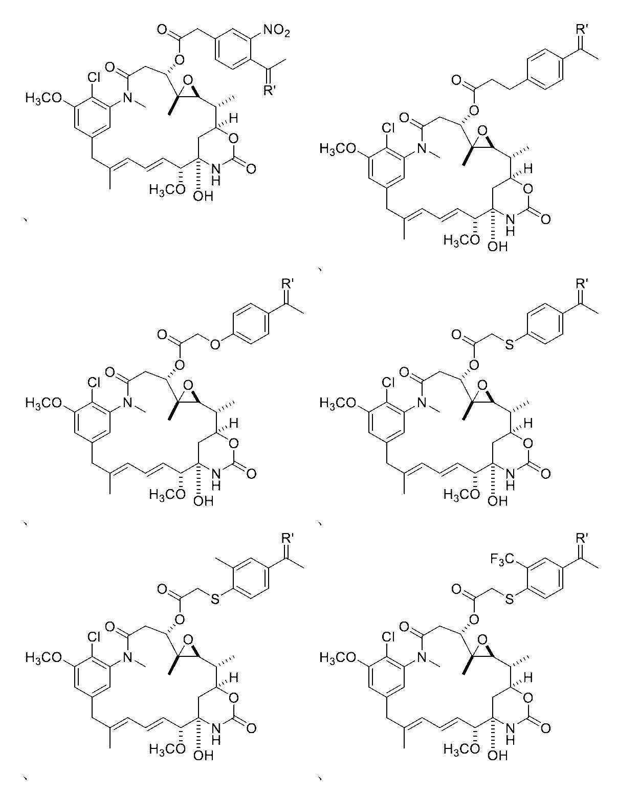 Figure 0007442821000163