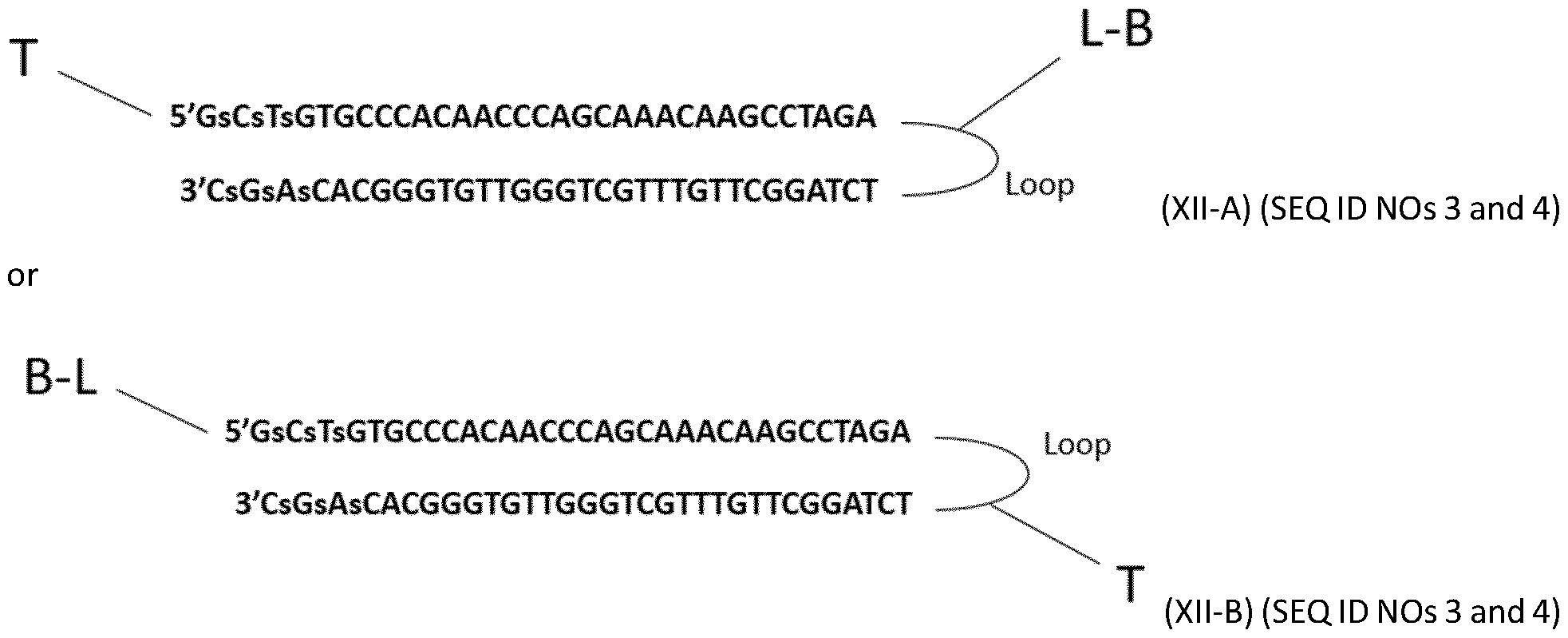 Figure imgf000007_0001