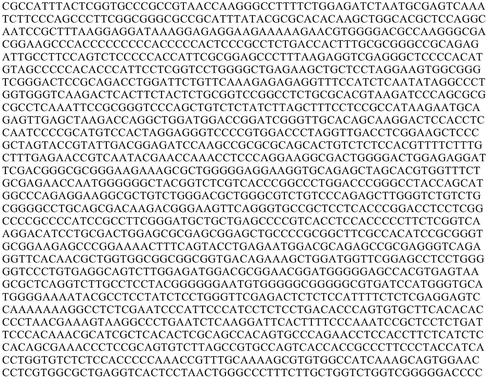 Figure GDA0003601660750000122