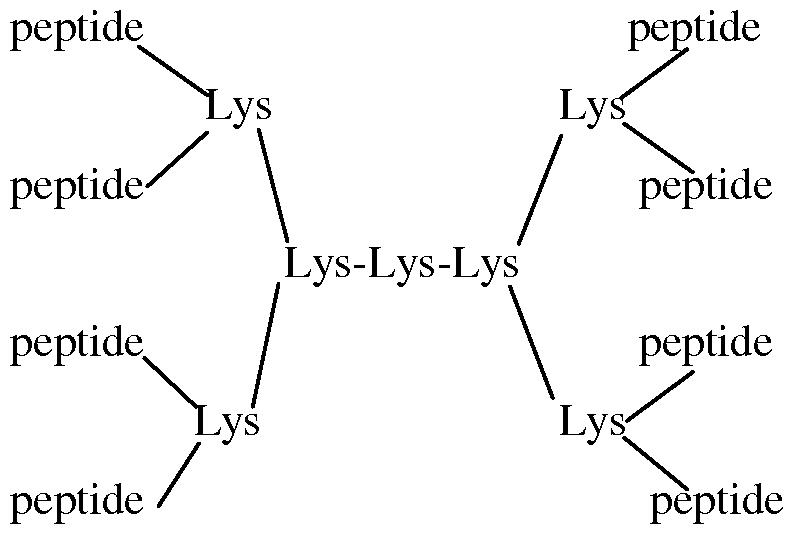 Figure imgf000011_0001