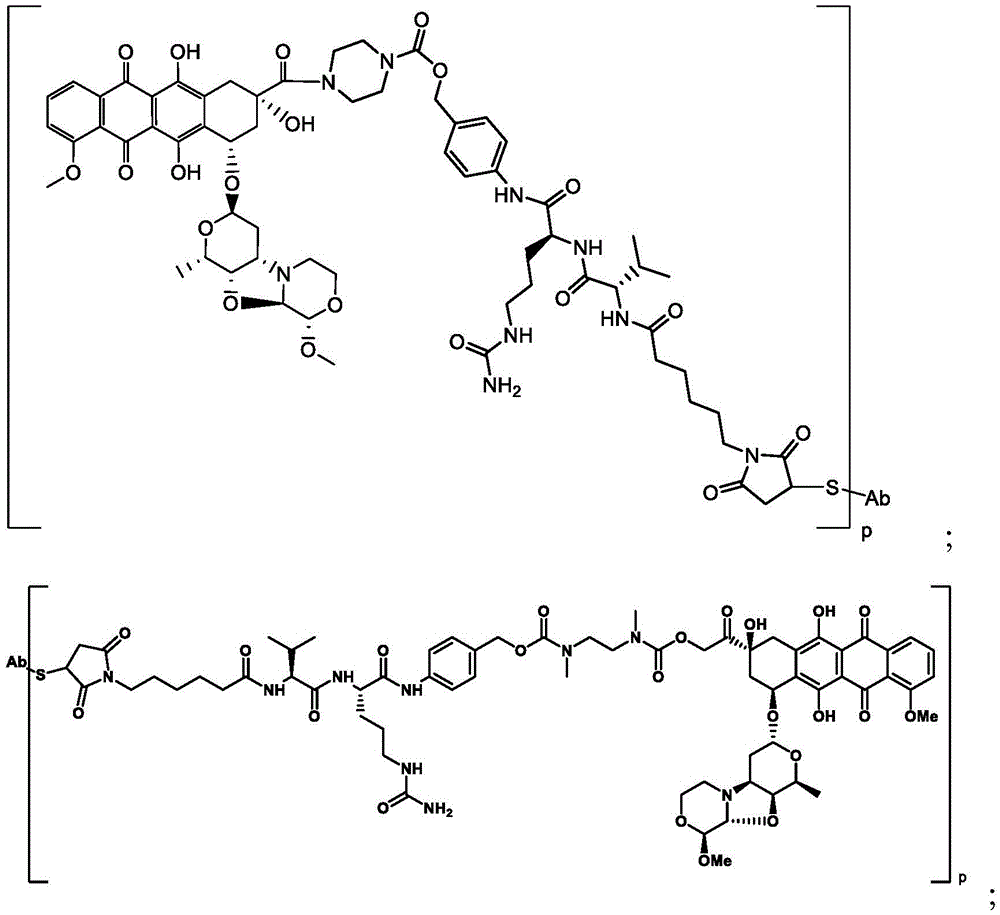 Figure BDA0003169464670000331