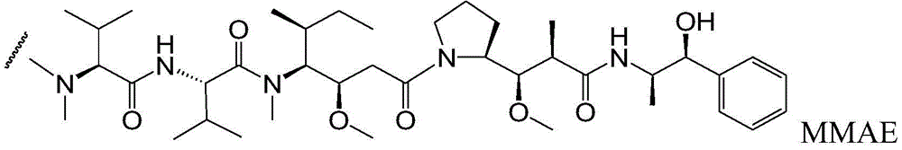 Figure BDA0003169464670001241