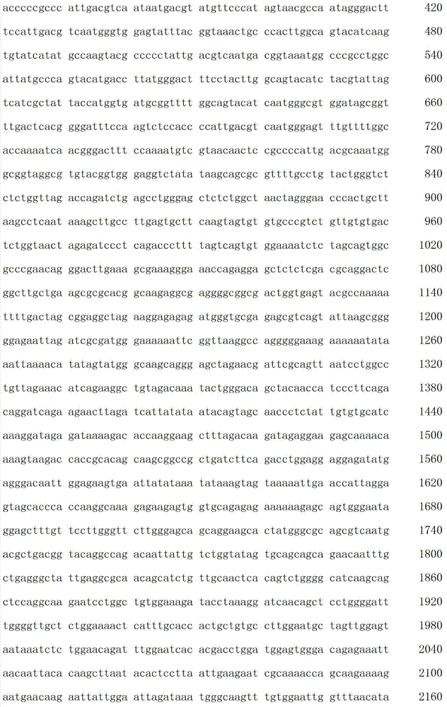 Figure IDA00003076741800521