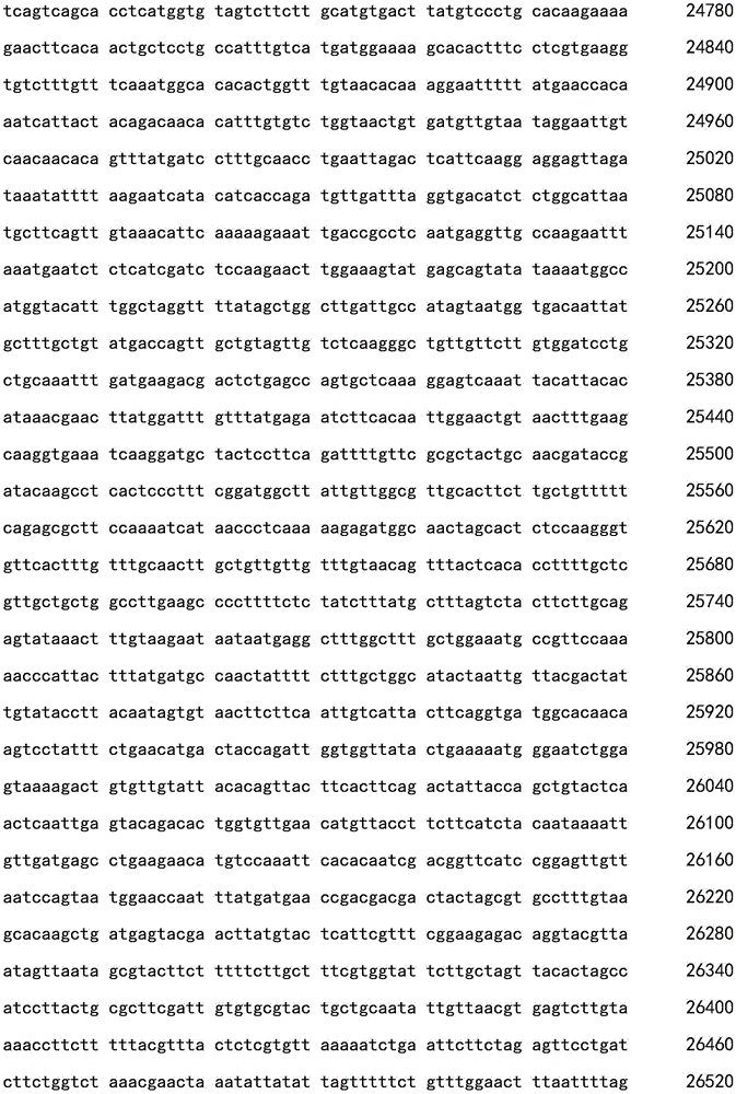 Figure BDA0002619460630000201