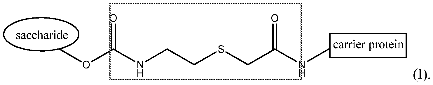 Figure imgf000011_0001