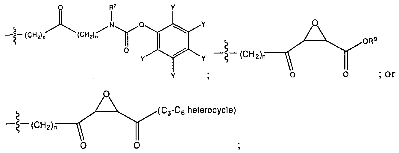 Figure imgf000146_0003