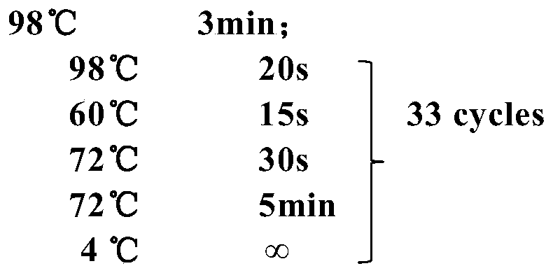 Figure PCTCN2019086974-appb-000003