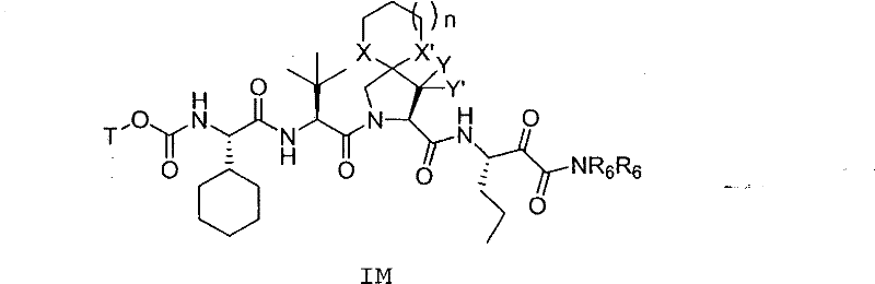 Figure BSA00000313081100481