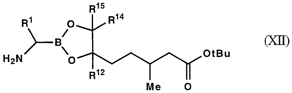 Figure imgf000016_0002