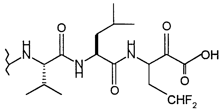 Figure imgf000021_0004