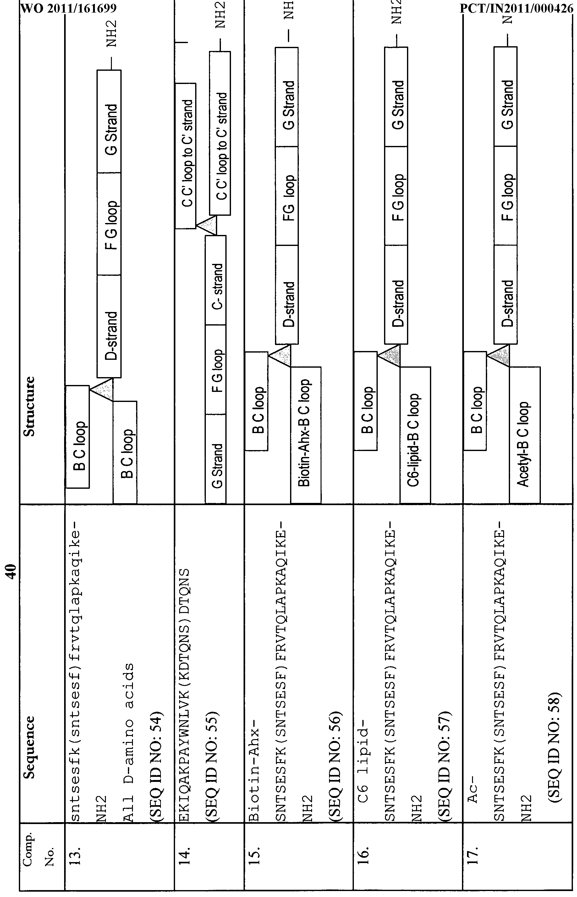 Figure imgf000041_0001