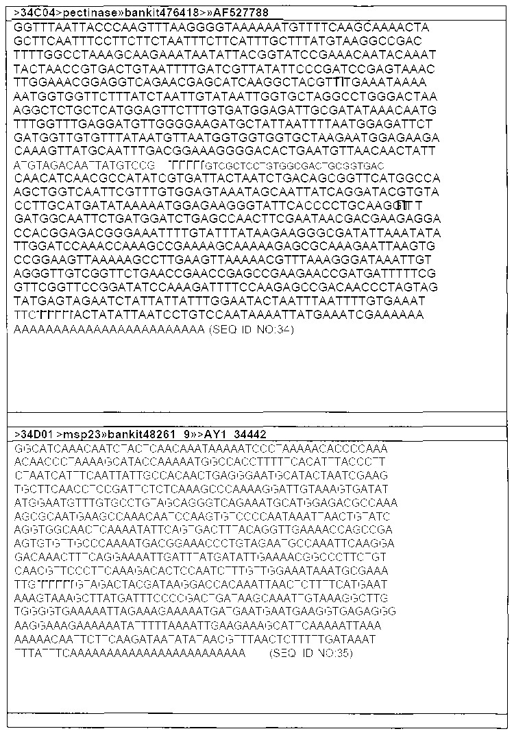 Figure 112007028557862-PCT00024