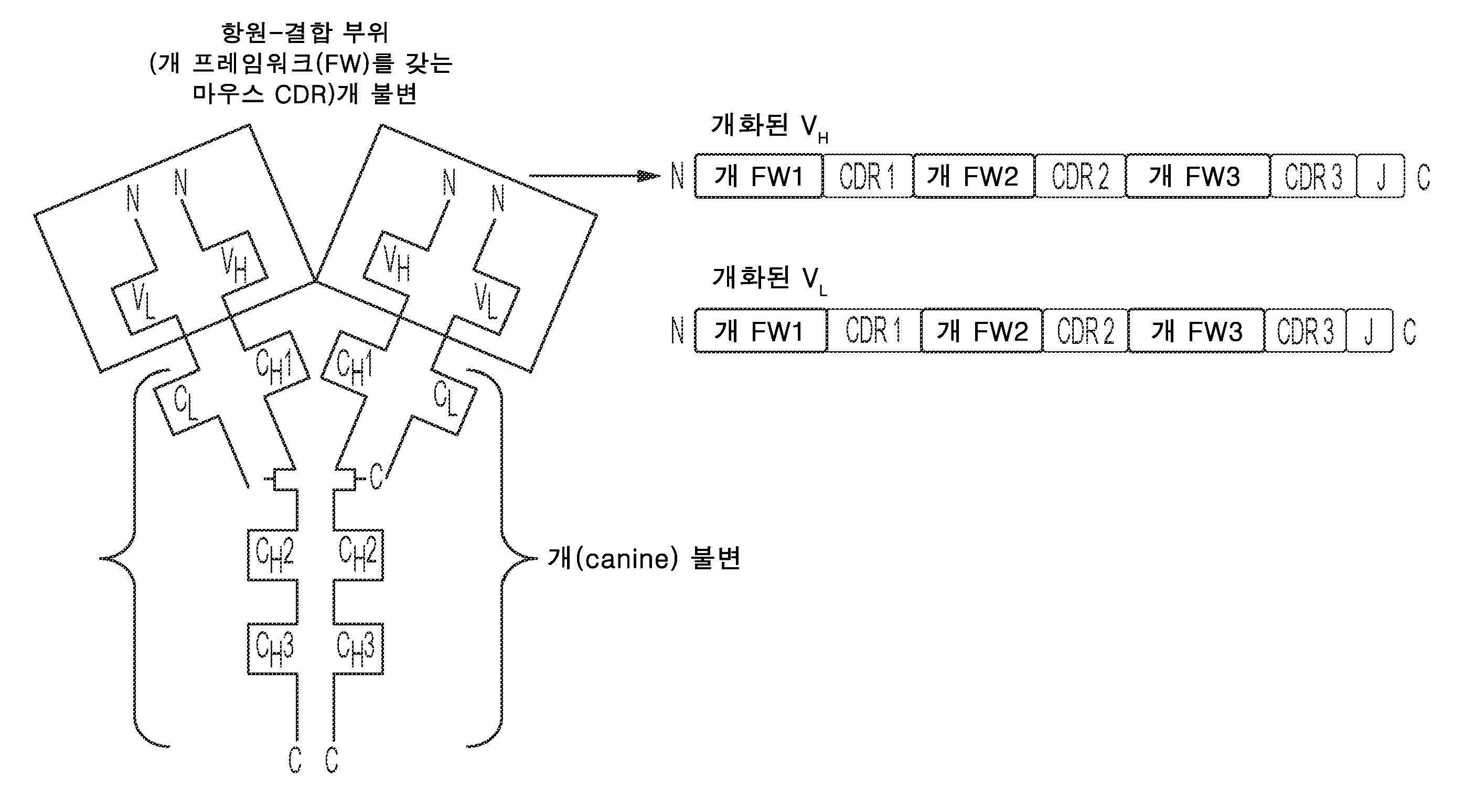 Figure P1020247010294