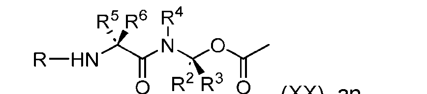 Figure imgf000309_0004
