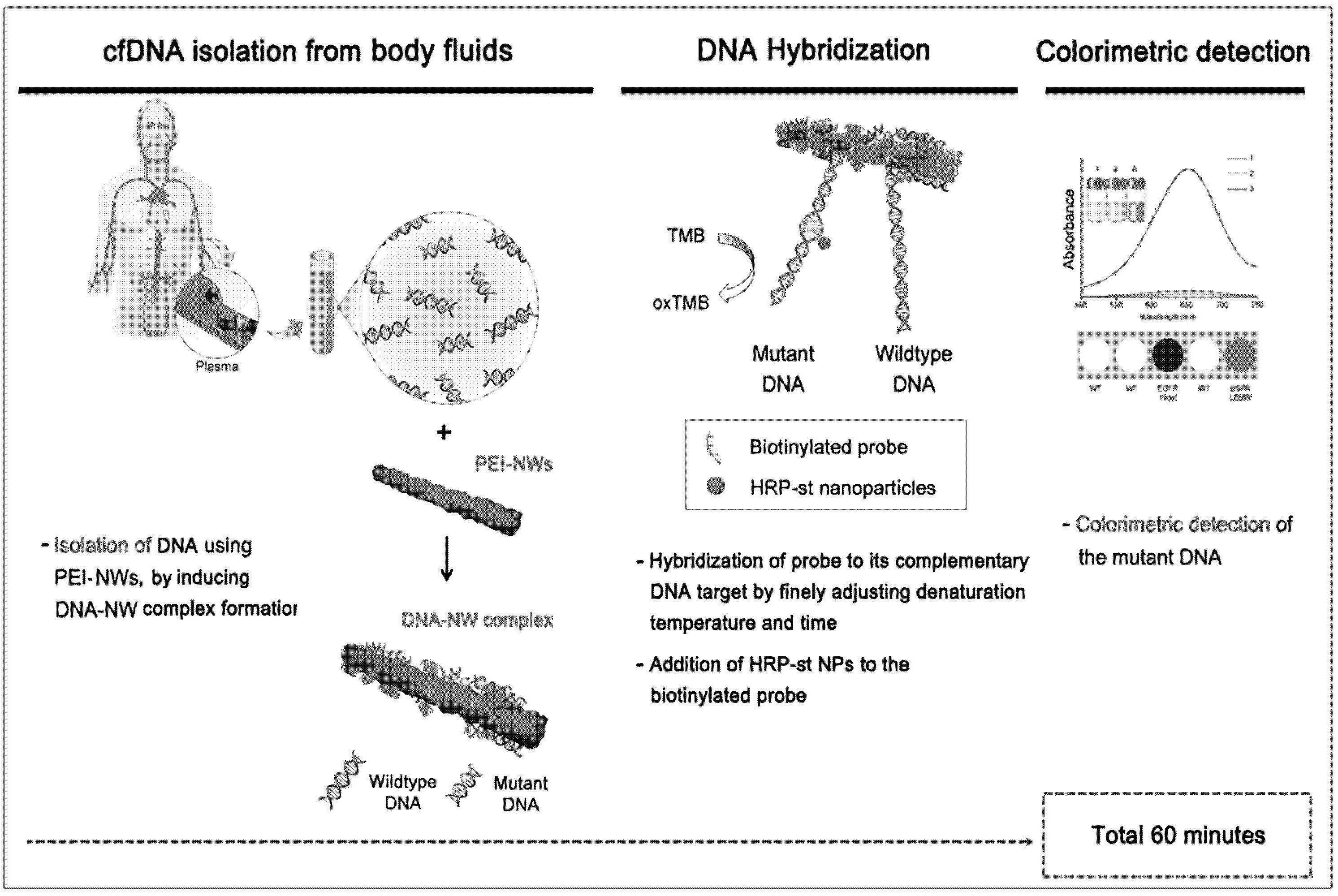 Figure R1020200041223
