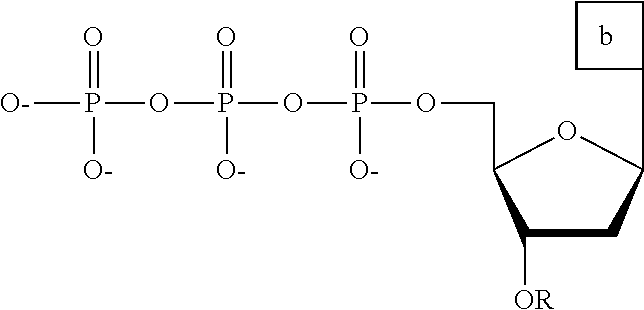 Figure US20110014611A1-20110120-C00053