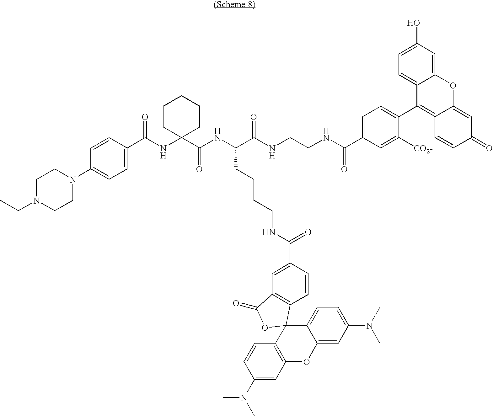 Figure US20100189658A1-20100729-C00028