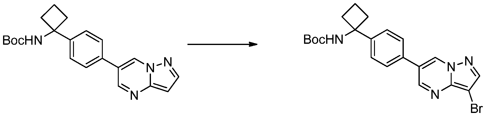 Figure imgf000218_0002