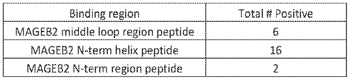 Figure imgf000080_0001