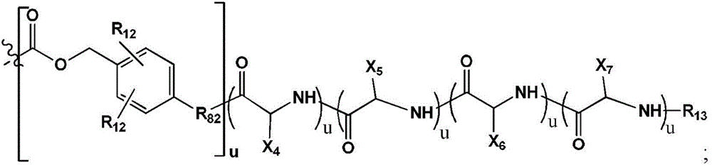 Figure BDA0003135424430001081