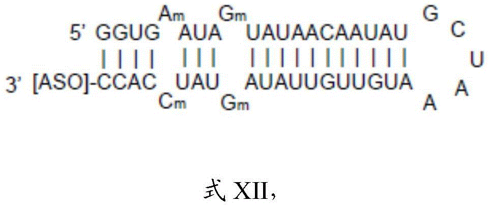 Figure BDA0003264319780000642