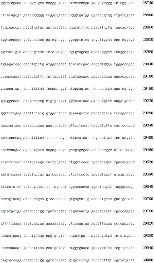 Figure IDA0002872168960002031