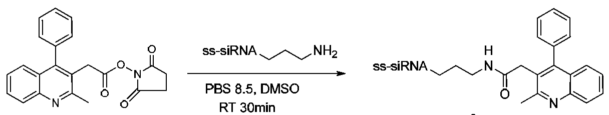 Figure imgf000166_0001