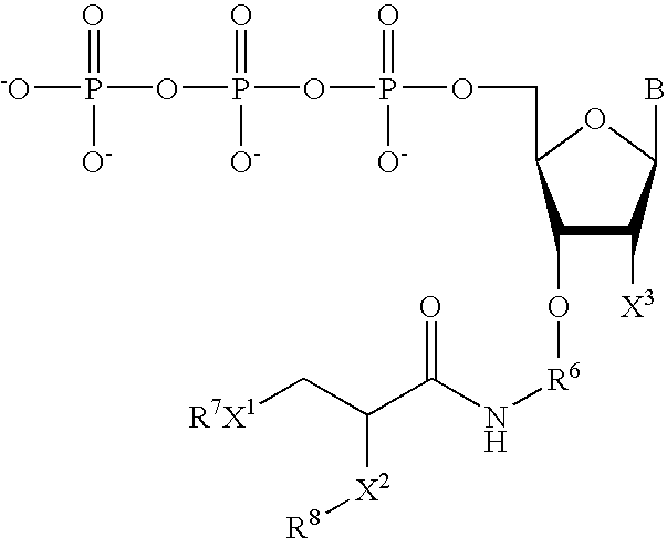 Figure US20060073481A1-20060406-C00006