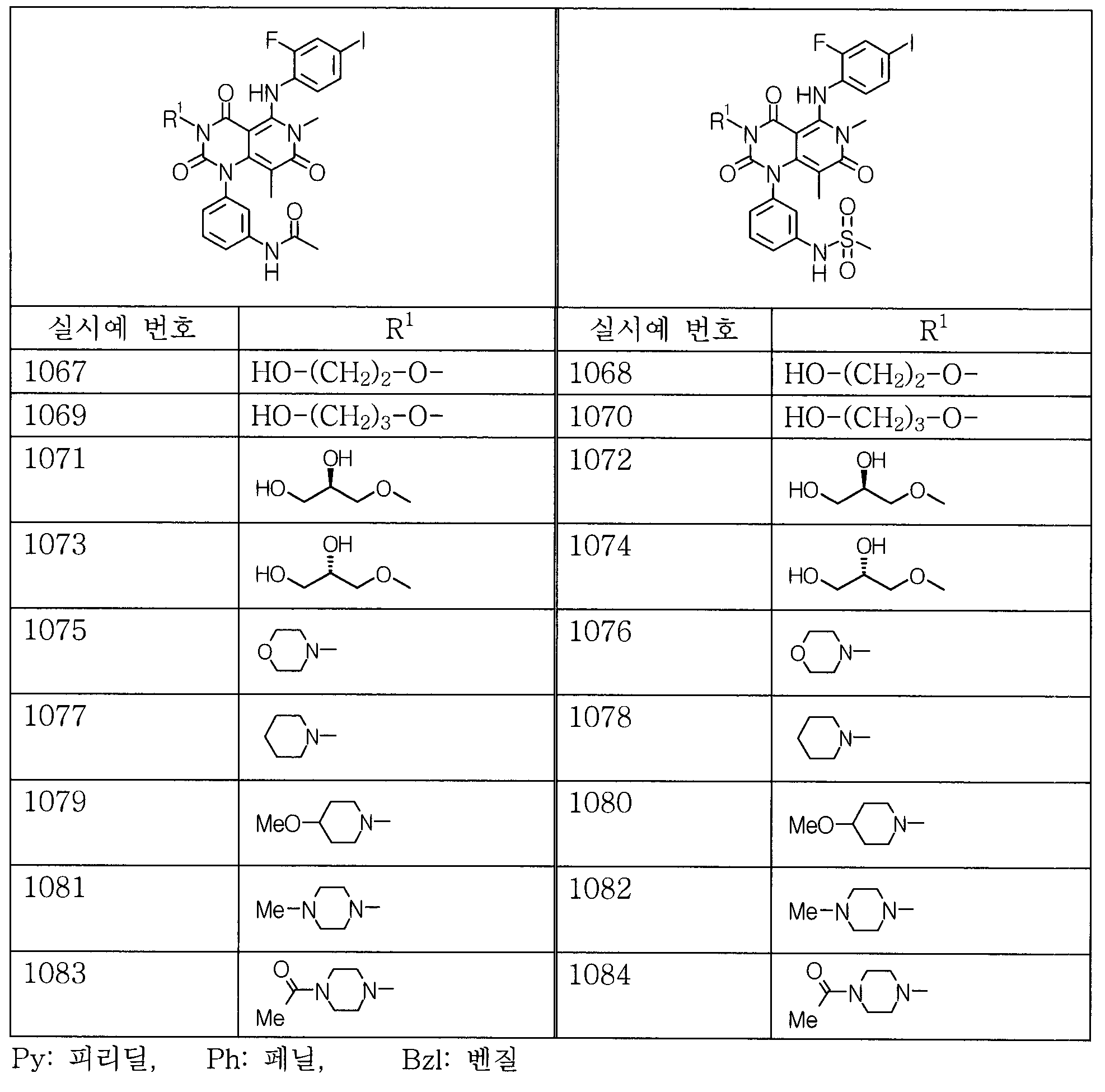 Figure 112007003005065-pct00240