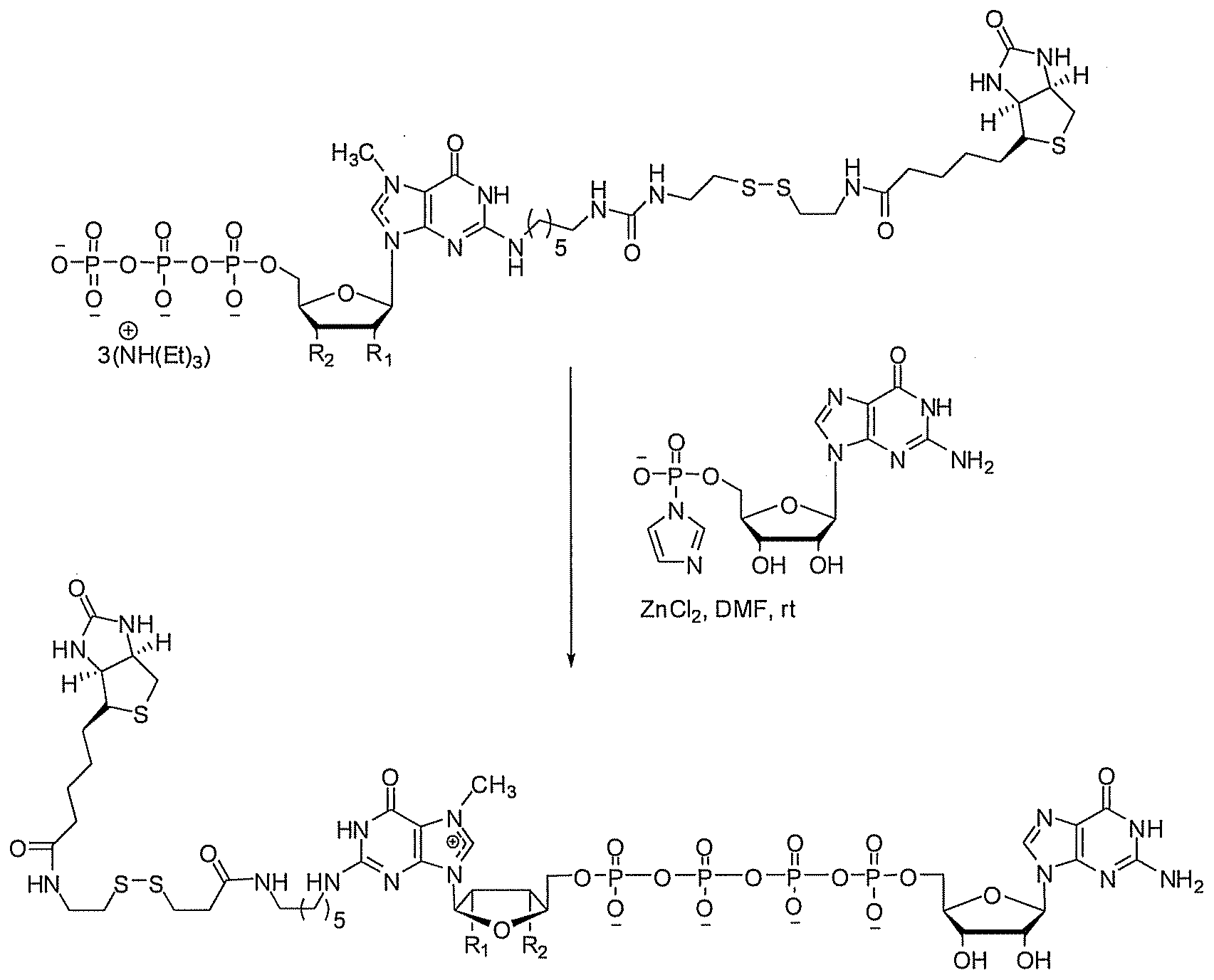 Figure imgf000045_0001