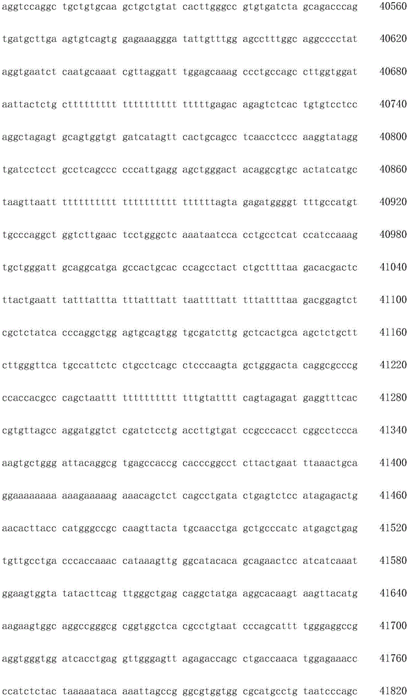 Figure IDA0003936212790001321