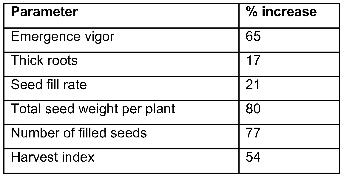 Figure imgf000043_0001