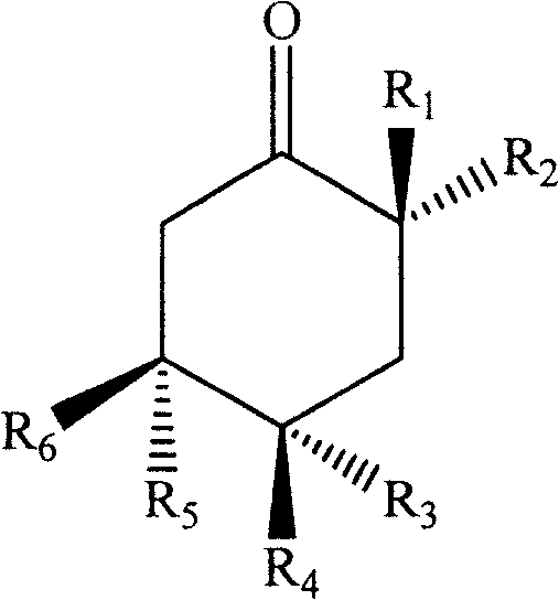 Figure C2005100748050002C2