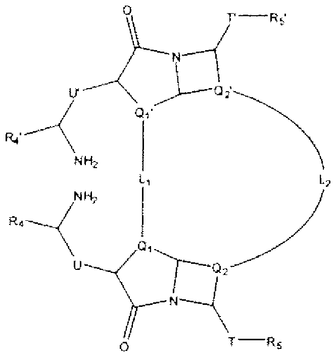 Figure imgf000017_0001