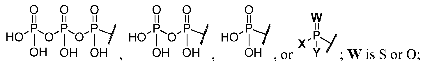 Figure imgf000008_0002