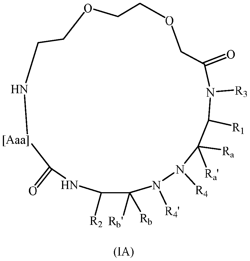 Figure imgf000006_0001