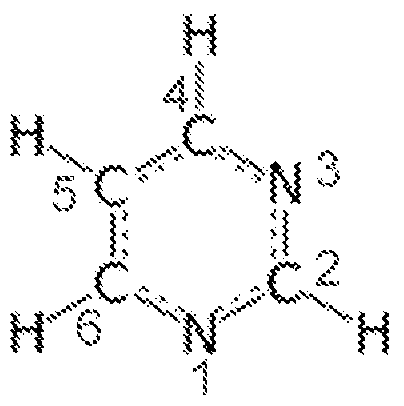 Figure imgf000029_0002