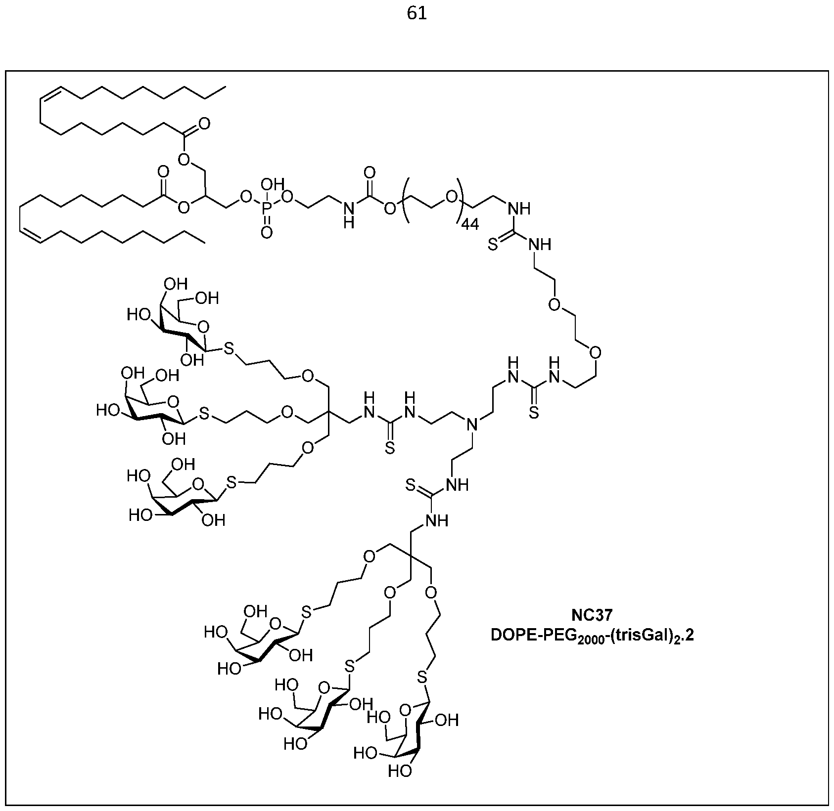 Figure imgf000062_0001