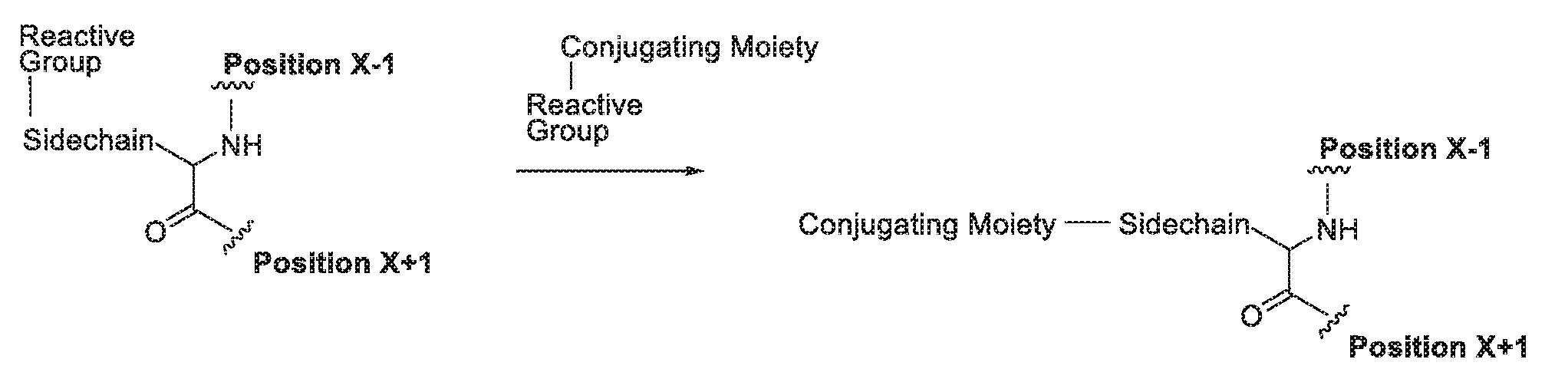 Figure imgf000118_0001