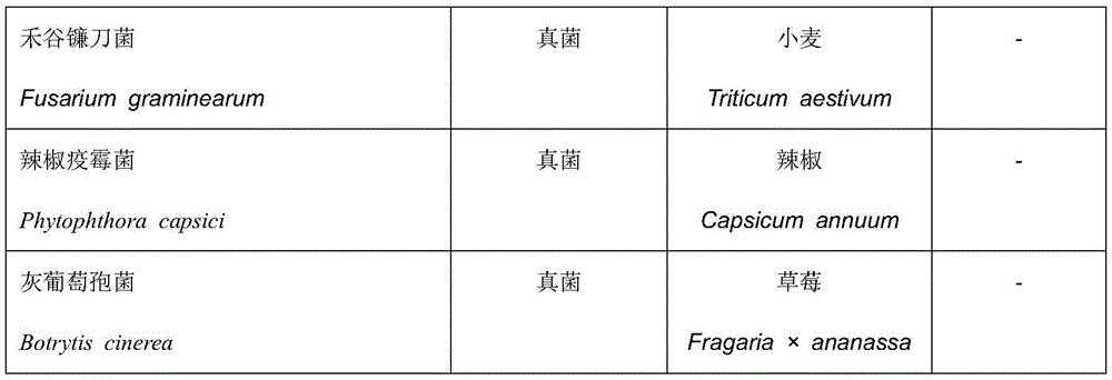 Figure BDA0003216937570000051