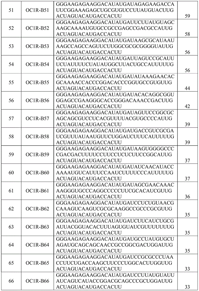 Figure BDA0002402678590000431