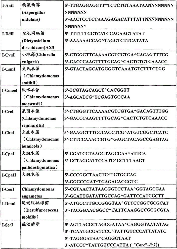 Figure 2006800215863A00800031