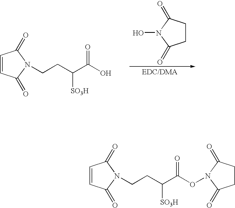 Figure US20090274713A1-20091105-C00040