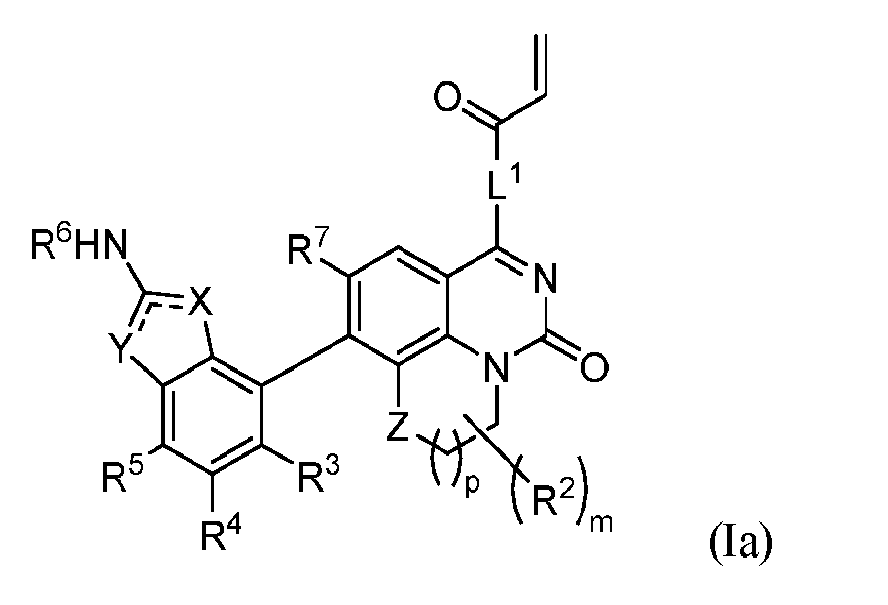 Figure imgf000004_0001