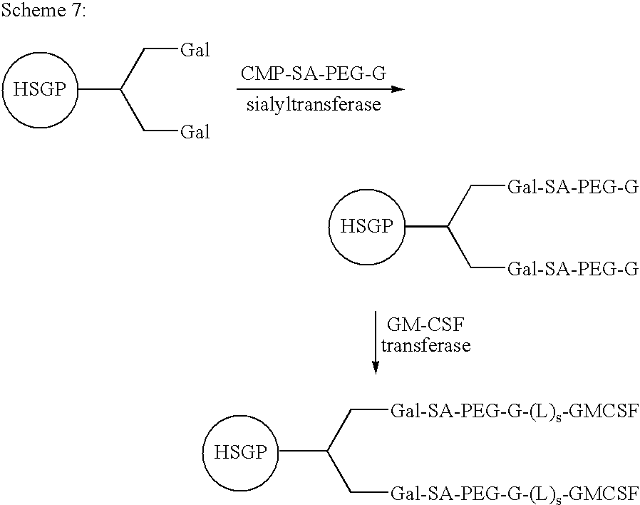 Figure US20080242607A1-20081002-C00057