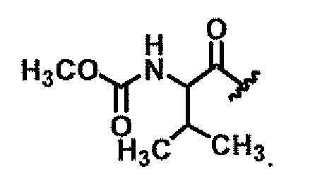 Figure imgf000091_0001