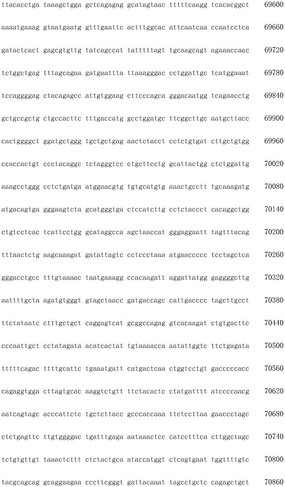 Figure IDA0003936212790001541