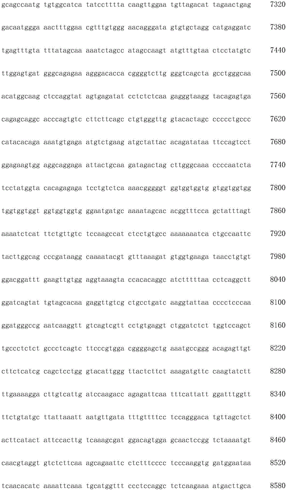 Figure IDA0003936212790000071