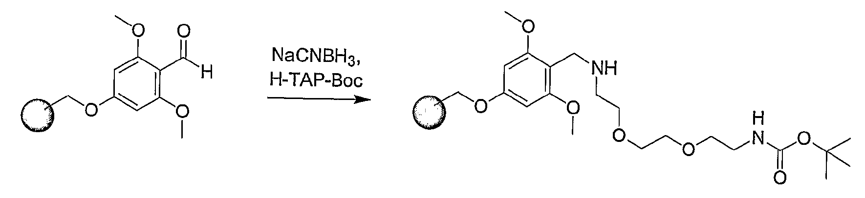 Figure 112005065158161-pct00031